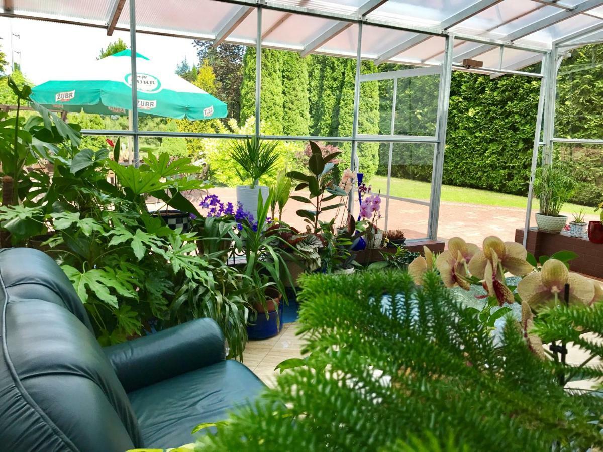Vita Augustów Exteriör bild